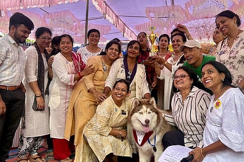 dog show