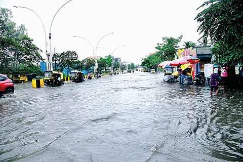 dvg-rain-3.jpg