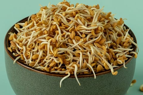 fenugreek sprouts