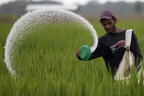 fertilizer