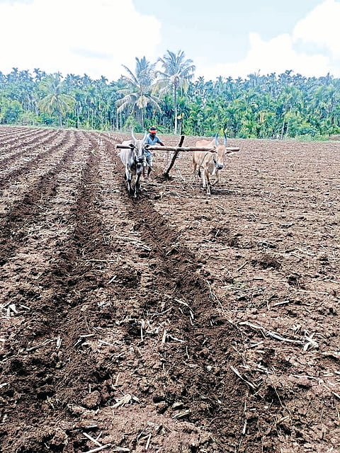hnl krushi story may 26