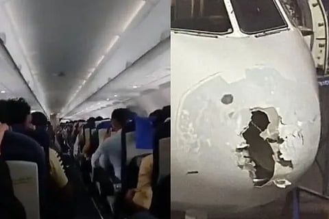 indigo