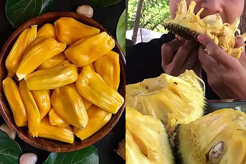 Jackfruit
