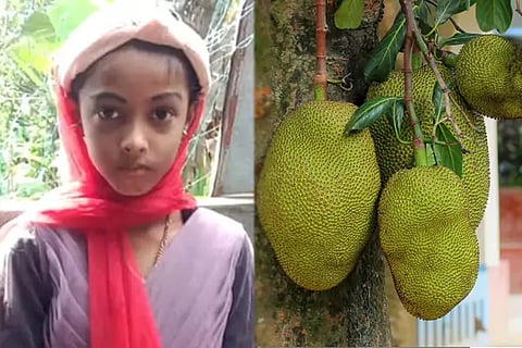 Jackfruit
