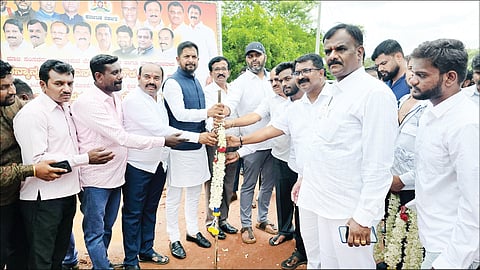 mla