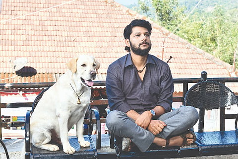 nanu gunda 2
