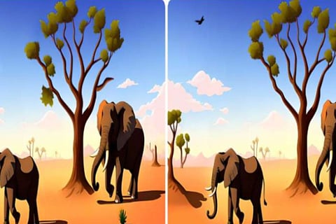 optical illusion