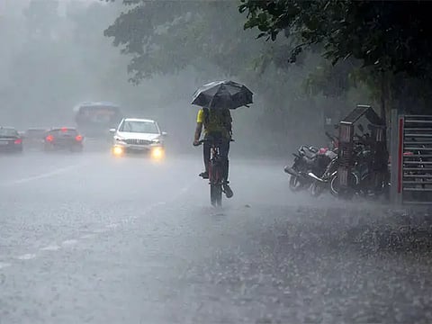 rain