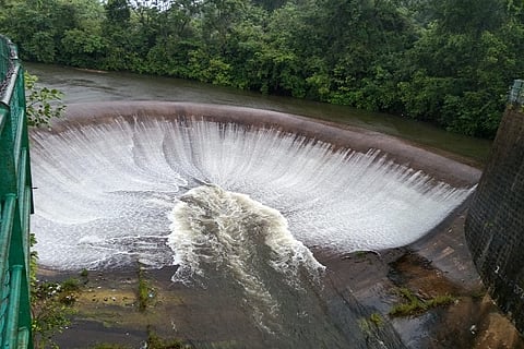 rain