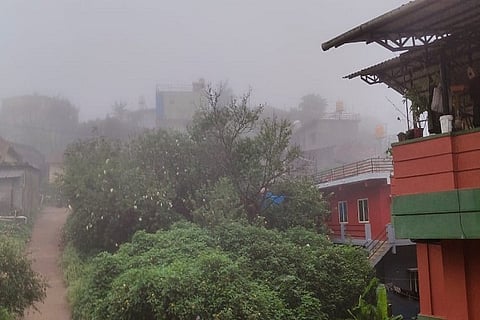 rain