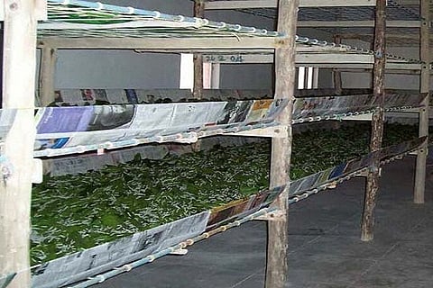 silk