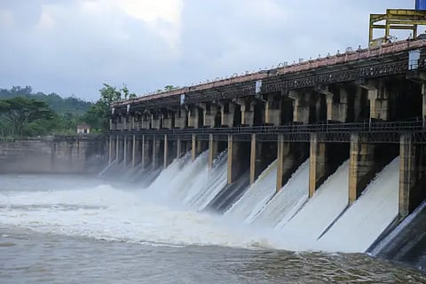 tunga