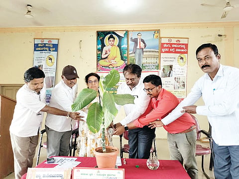 ಸೊಳ್ಳೆ ಉತ್ಪತ್ತಿಯಾಗದಂತೆ ಎಚ್ಚರ ವಹಿಸಿ