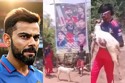 virat fans