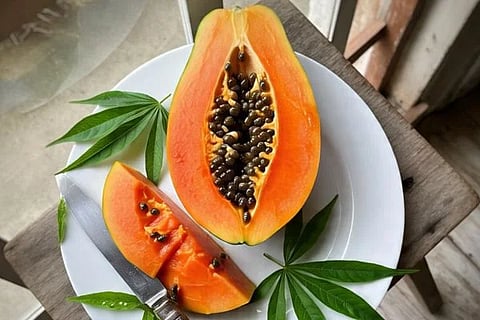 ವಿಜಯವಾಣಿ (17)