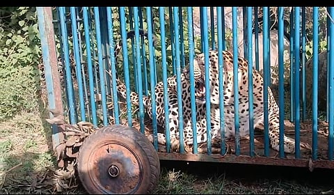 07rajesh12