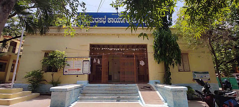 08 KAMPLI 02