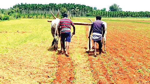10myk2