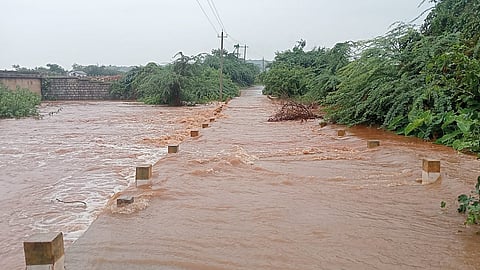 12 MANJU 01