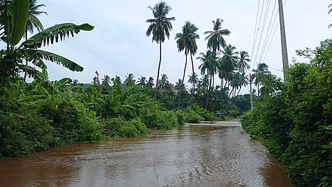 12 MANJU 06