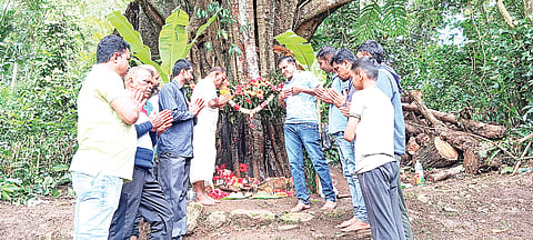 13spt1