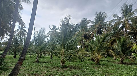 14Rajesh7