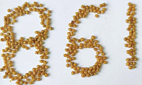 15