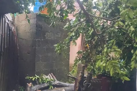 15 TTH 01