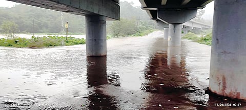 17mdk11 RAIN