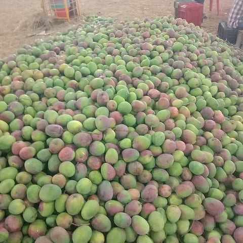 1,srinivaspur photo -1