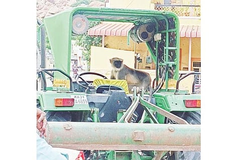 21 KURGODU 03