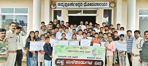 23MDG1 forest