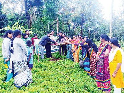 ಆಧುನಿಕತೆಯ ಹೆಸರಿನಲ್ಲಿ ಪರಿಸರದ ಮೇಲೆ ದೌರ್ಜನ್ಯ
