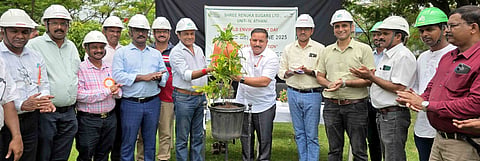 5Athanigrameen1 SPONCER