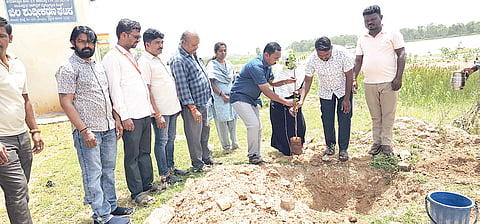 Environment Day