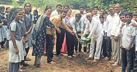A tree for a house, a forest for a school are necessary.