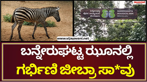 Bannerghatta Zoo