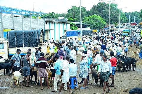 CTD APMC KURI MARUKATTE---------------
