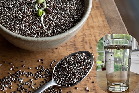 Chia Seeds