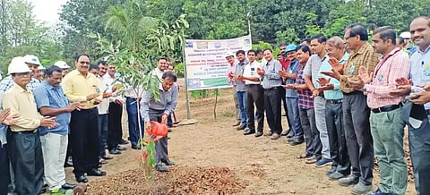 Forestry factory priority
