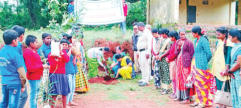 ನ್ಯಾಯದಹಳ್ಳ ಶಾಲೆಯಲ್ಲಿ ಗಿಡ ನೆಡುವ ಕಾರ್ಯಕ್ರಮ