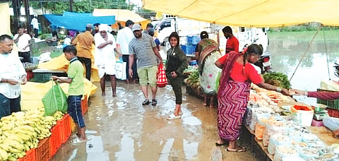 MUL RAIN