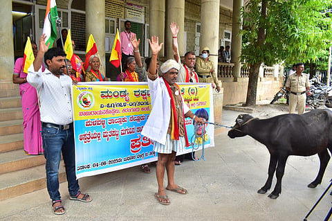 Mandya Defense Forum activists protest Mandya