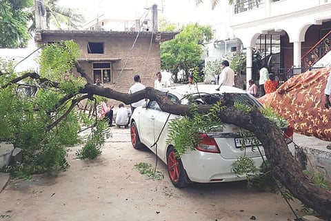 Maski Car Crash