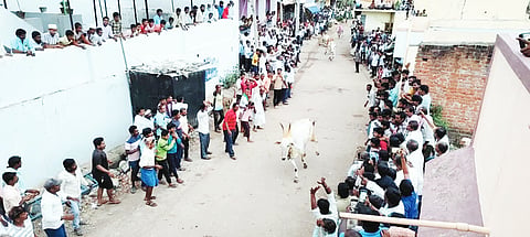 NRGL KARI
