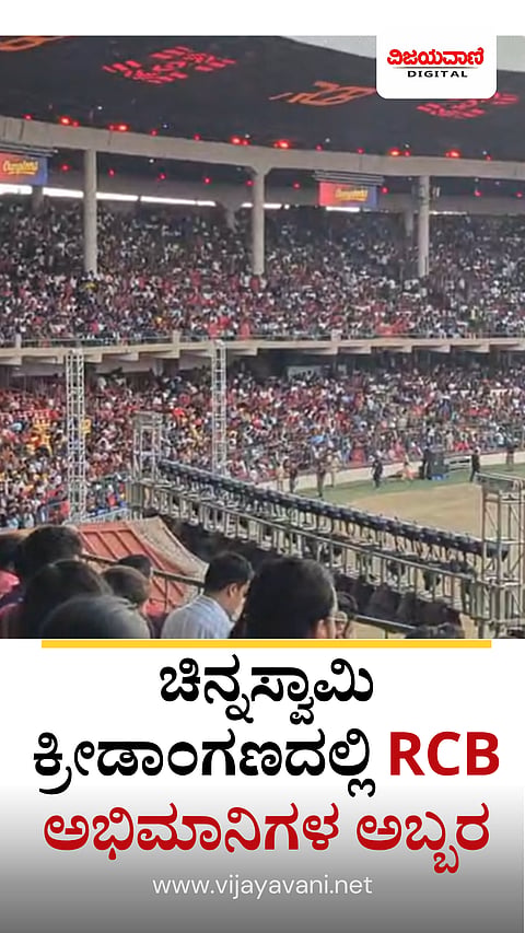 RCB Fans