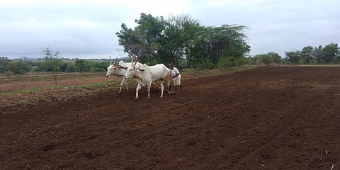 SHIRAHATTI FARMER