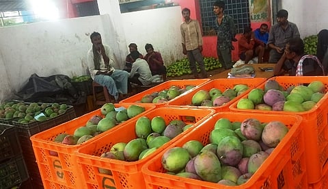Sendoora Mavu