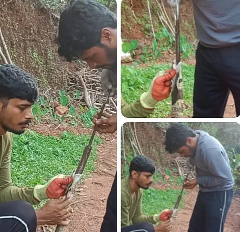 Snake Rescue