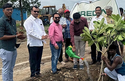 Tree Plantation At Dixit Layout Benaknalli Road, Bidar